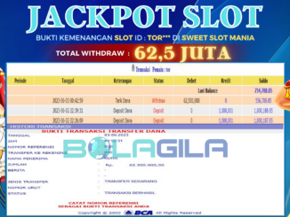 bukti jp bolagila #219